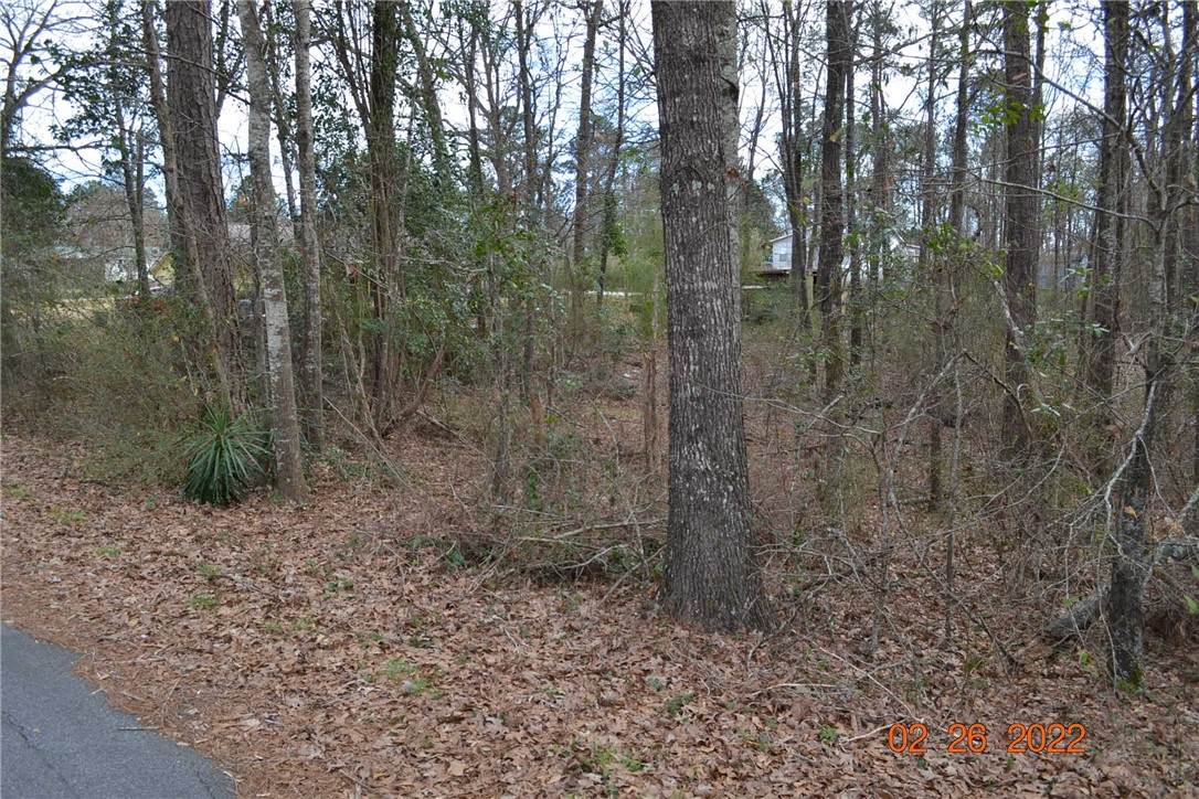 0 Brookside Drive - Photo 1