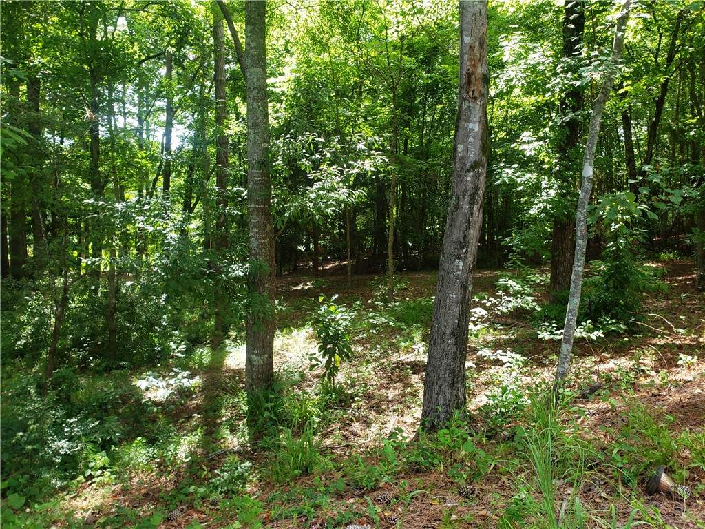 000 Cross Creek Road - Photo 1
