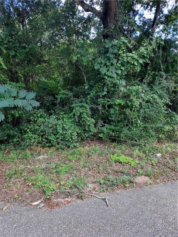 County Rd.95 Motley Lane - Photo 1
