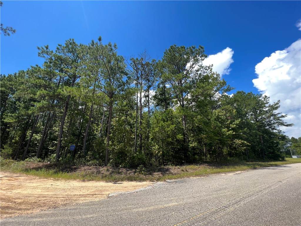 0 County Road 34 - Photo 1