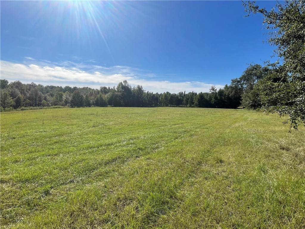0 County Road 40 - Photo 1