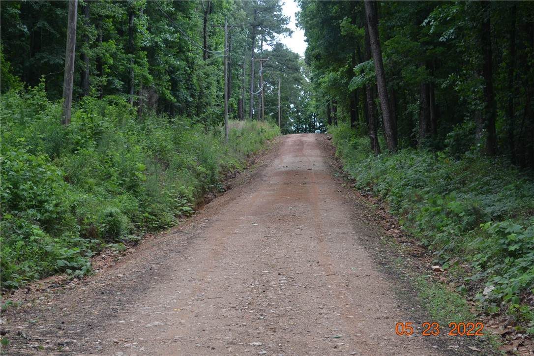 0 Lee Road 843 - Photo 1