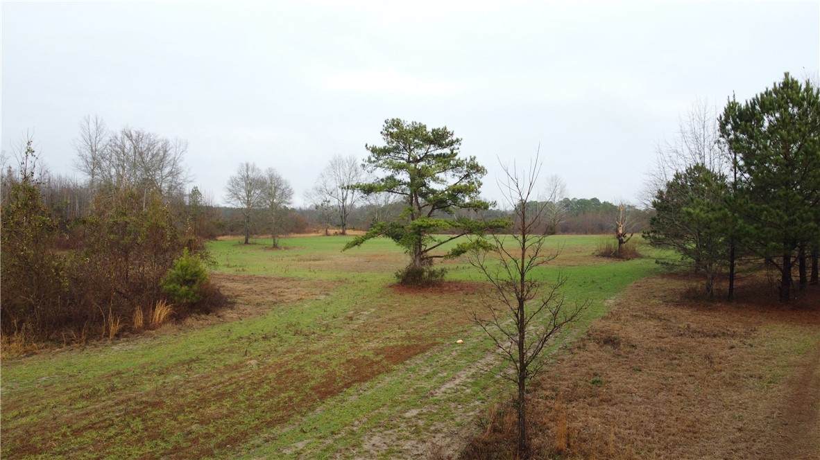 0 Lee Road 393 - Photo 1