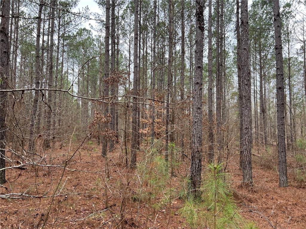 000 Pinkston Lane - Photo 1