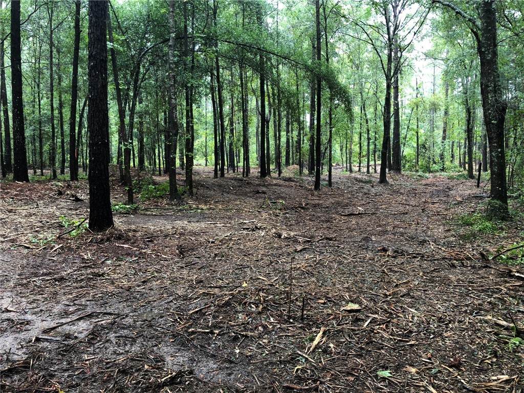Lot 7 Lee Road 39 - Photo 1