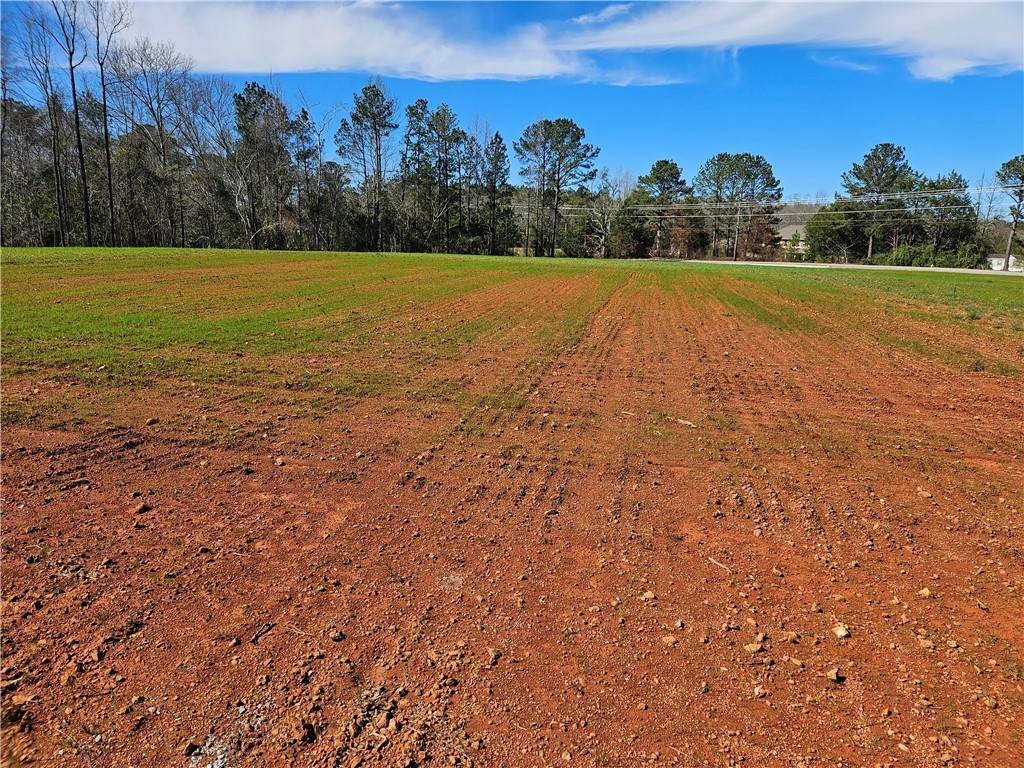 8160 County Road 87 - Photo 1