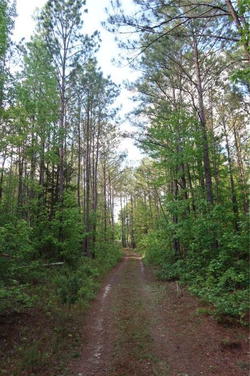 1401 Glassy Mill Road - Photo 1