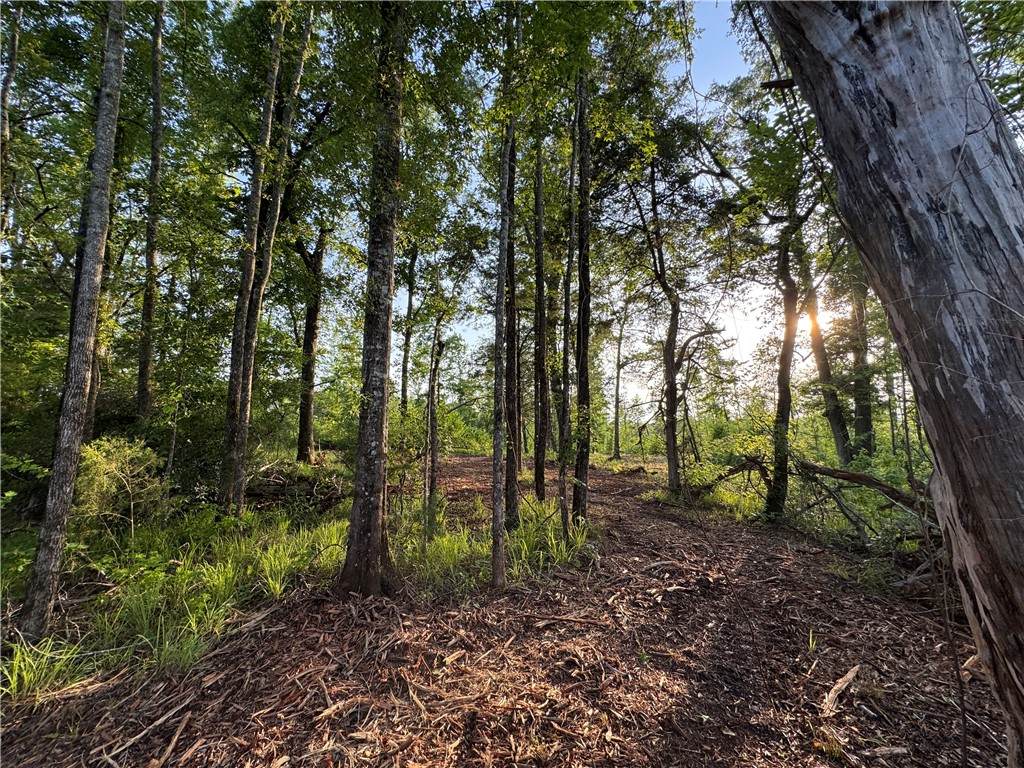 0 Tallapoosa Road - Photo 1