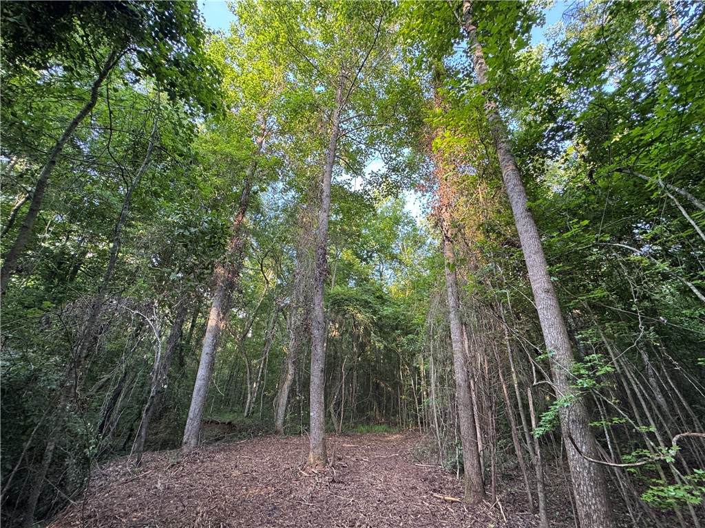 0 Tallapoosa Road - Photo 1