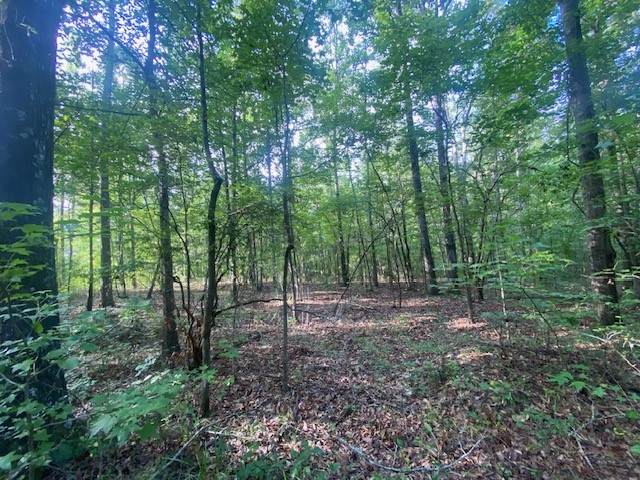 0 Windwood Drive - Photo 1