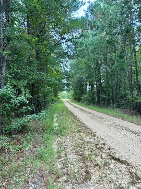 1400 Glassy Mill Road - Photo 1