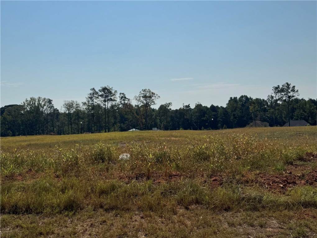 Lot 18 Long Leaf Lane - Photo 1