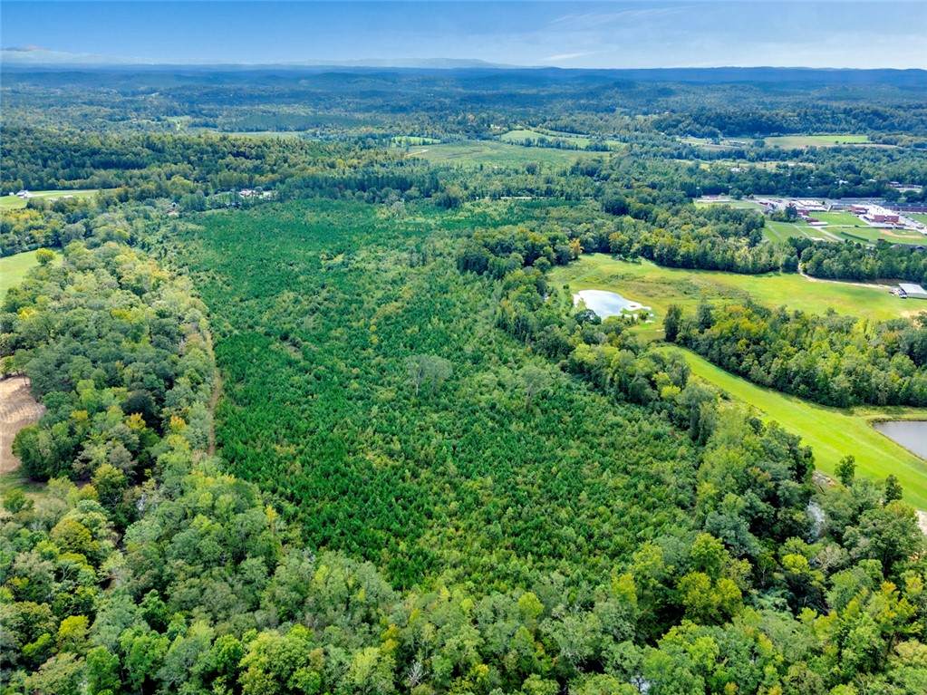 0 Warrior Road - Photo 1