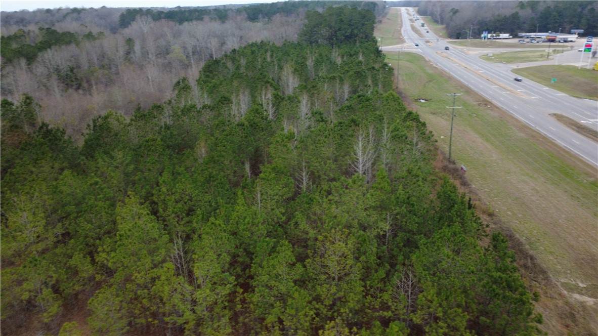 0 Us Highway 231 - Photo 1