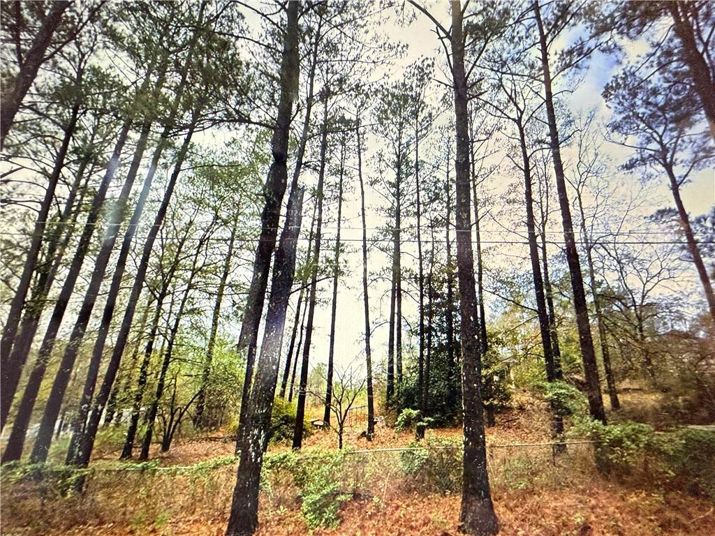 470 Lee Road 234 - Photo 1