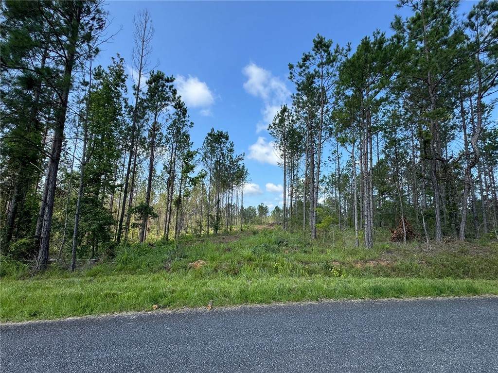 0 Parker Island Road - Photo 1