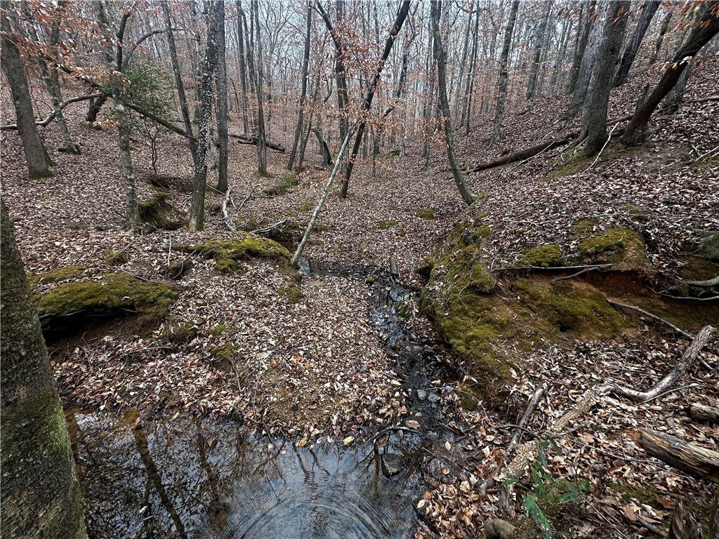 https://bt-photos.global.ssl.fastly.net/leecounty/orig_boomver_1_181654-2.jpg