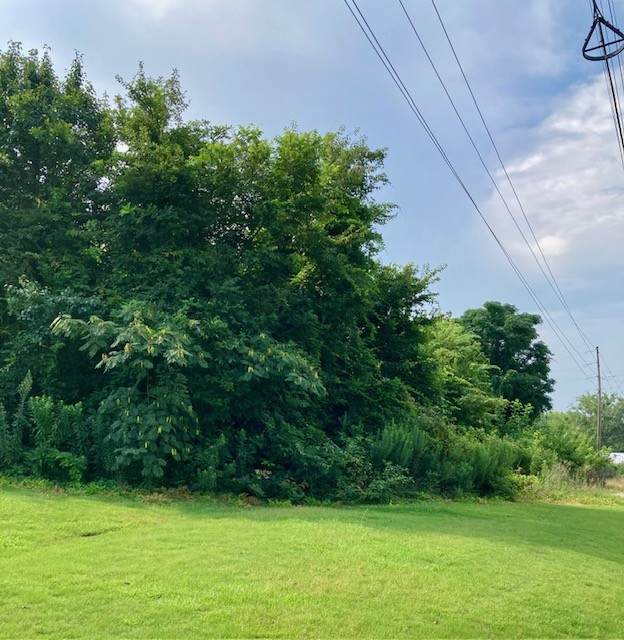 0 Lafayette Parkway - Photo 1