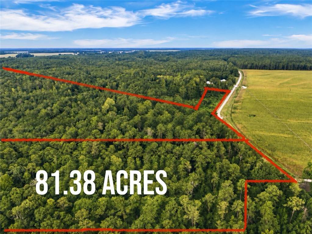 0 County Road 91 - Photo 1