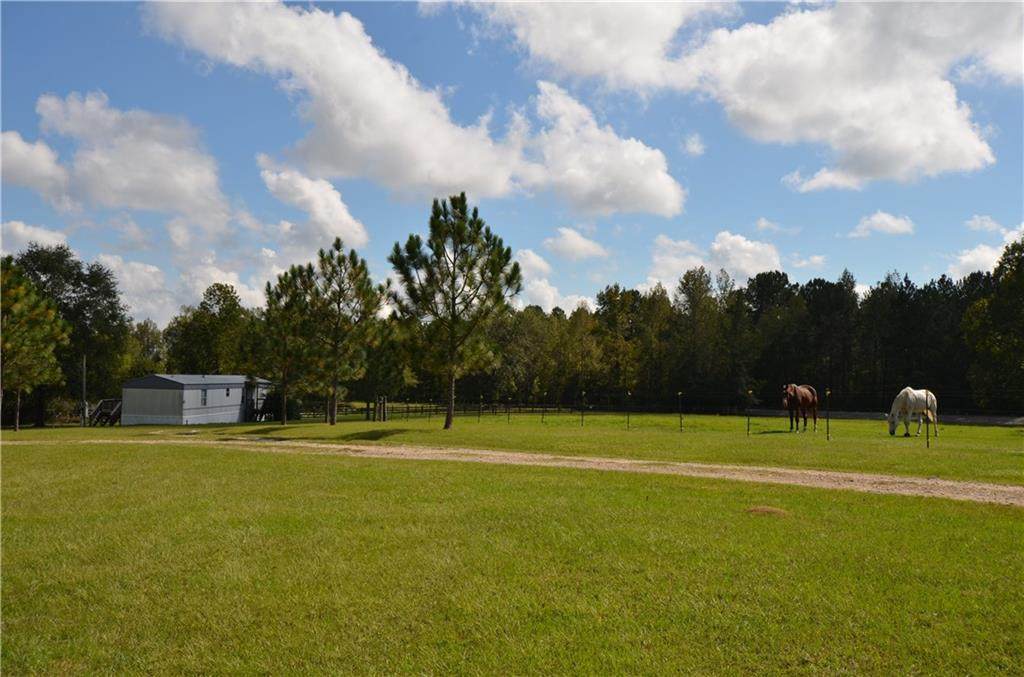 2433 County Road 54 - Photo 1