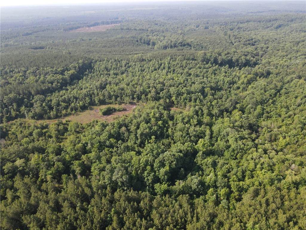0 County Road 78 - Photo 1