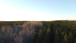 0 County Road 83 - Photo 1
