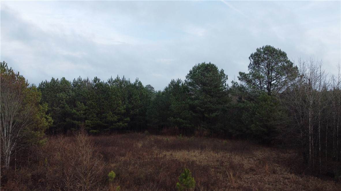 0 Lee Road 393 - Photo 1