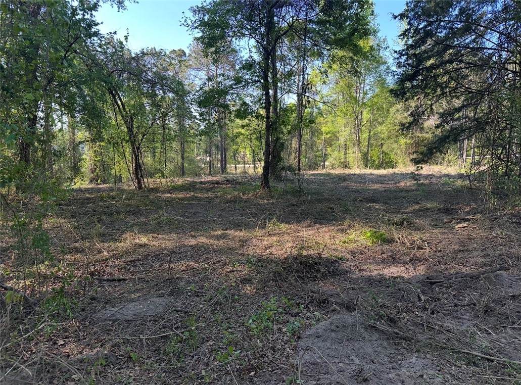1300 Sandhill Road - Photo 1