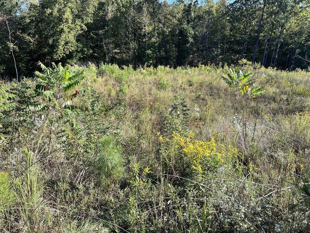 0 0 Lee Road 2192 - Photo 1