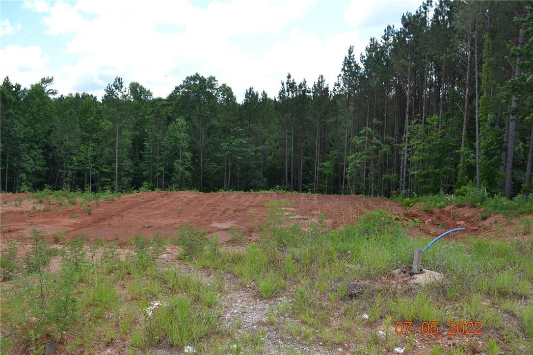 Lot 13 Lee Road 2192 - Photo 1