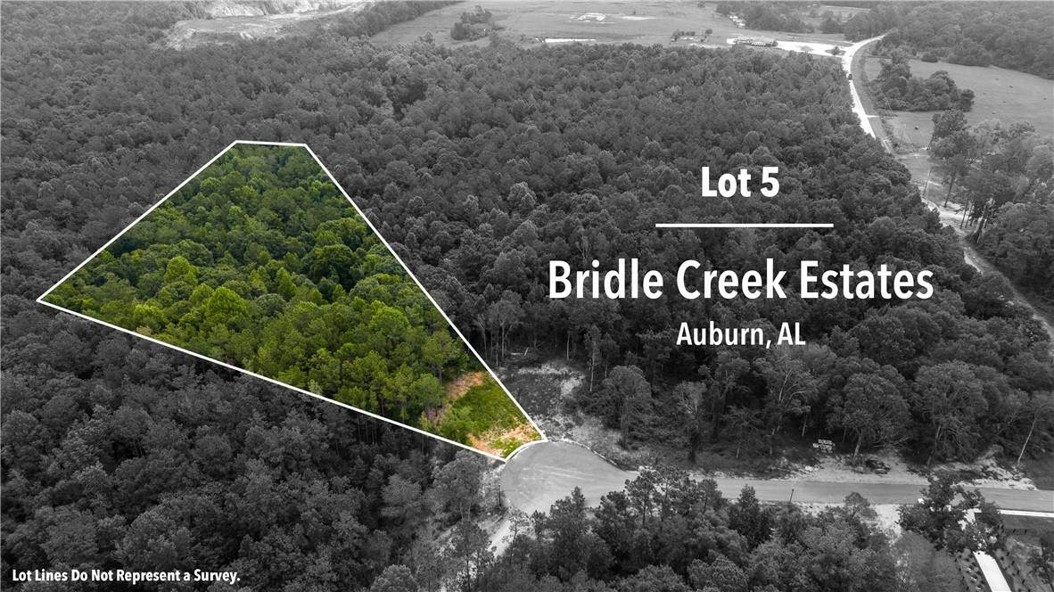 3021 Bridle Creek Circle - Photo 1