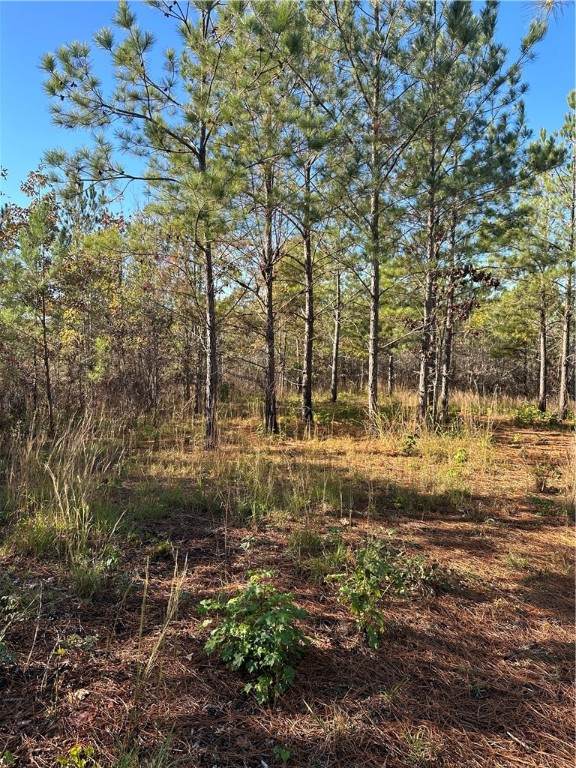 0 County Road 78 - Photo 1
