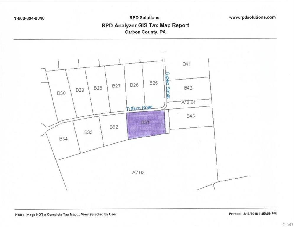 B31 Trillium Road - Photo 1