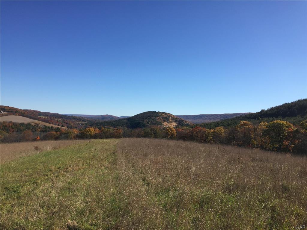 Hahns Dairy Road - Photo 1