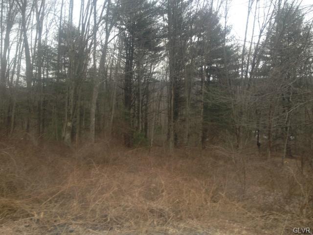 250 Owl Creek Road - Photo 1