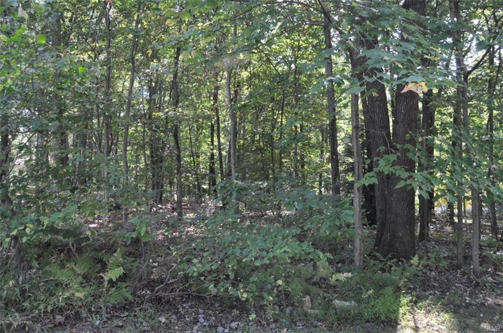 112 Birch Drive - Photo 1