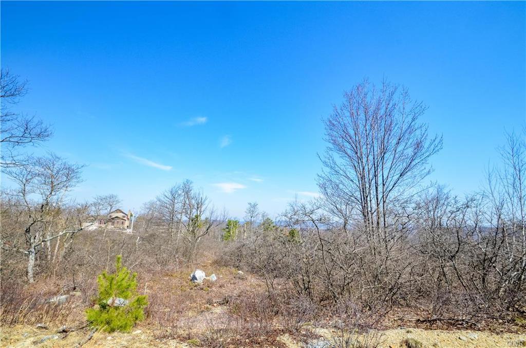 130 Red Mountain Drive - Photo 1
