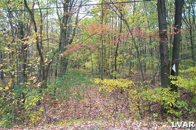 0 Old Grade Road - Photo 1