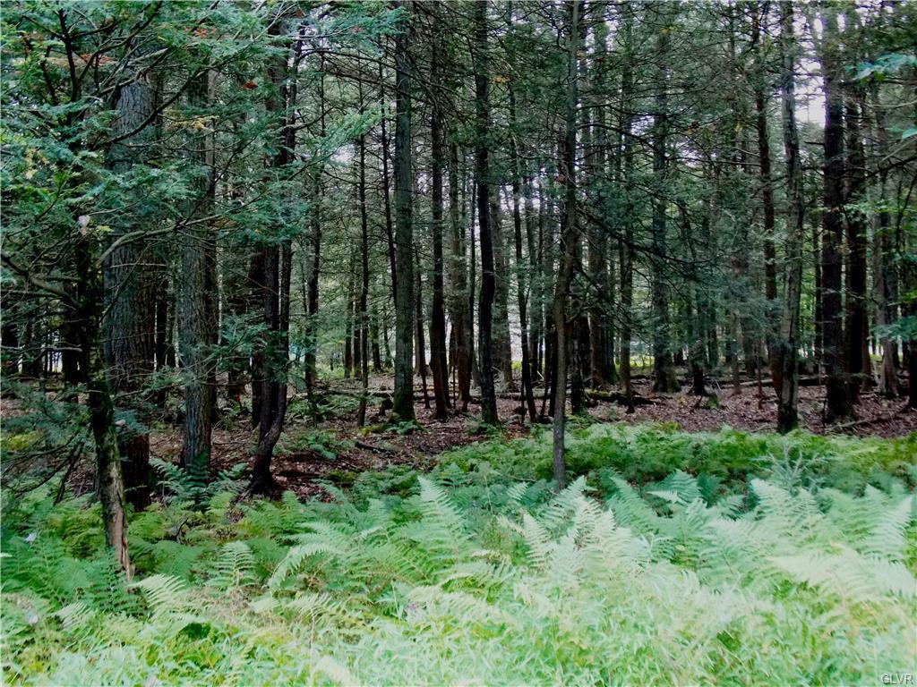Old Log Lane - Photo 1