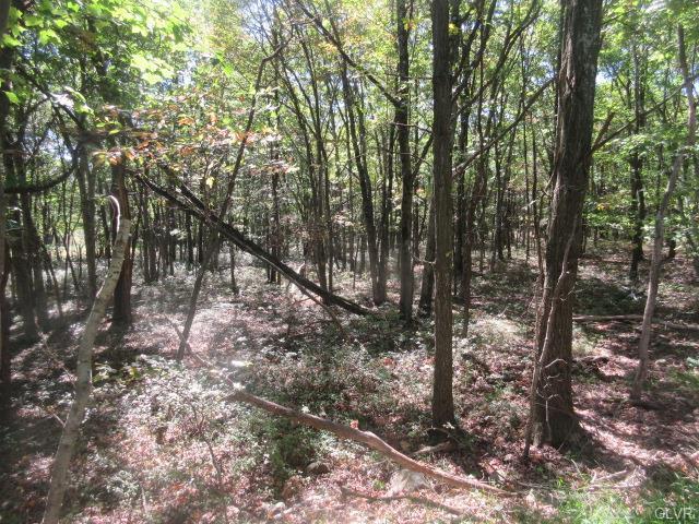 2310 Seneca Road - Photo 1