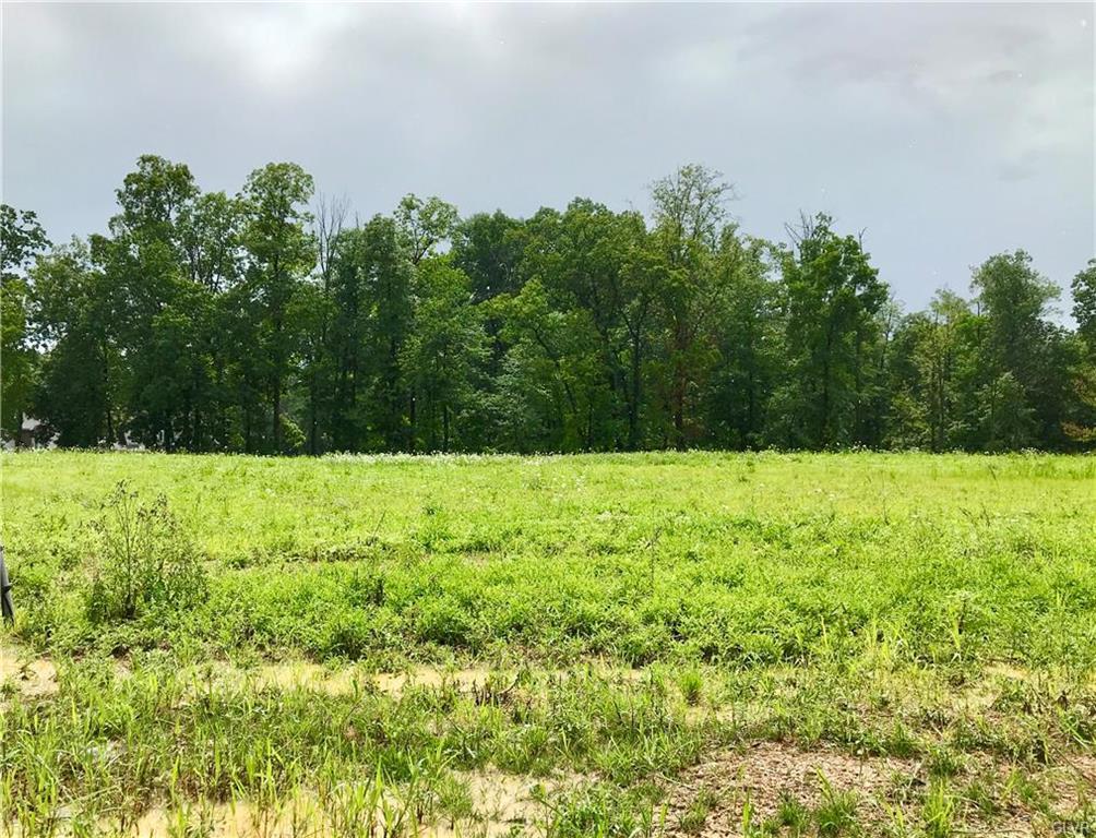 5392 Black Forest Drive - Photo 1