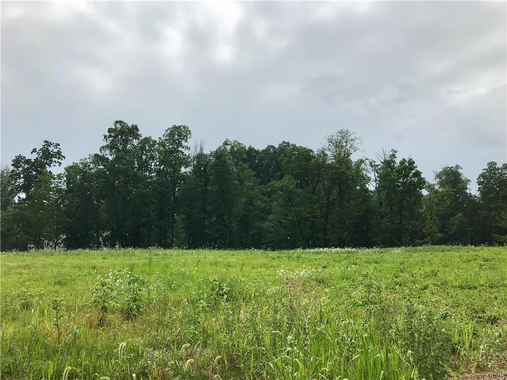 5380 Black Forest Drive - Photo 1