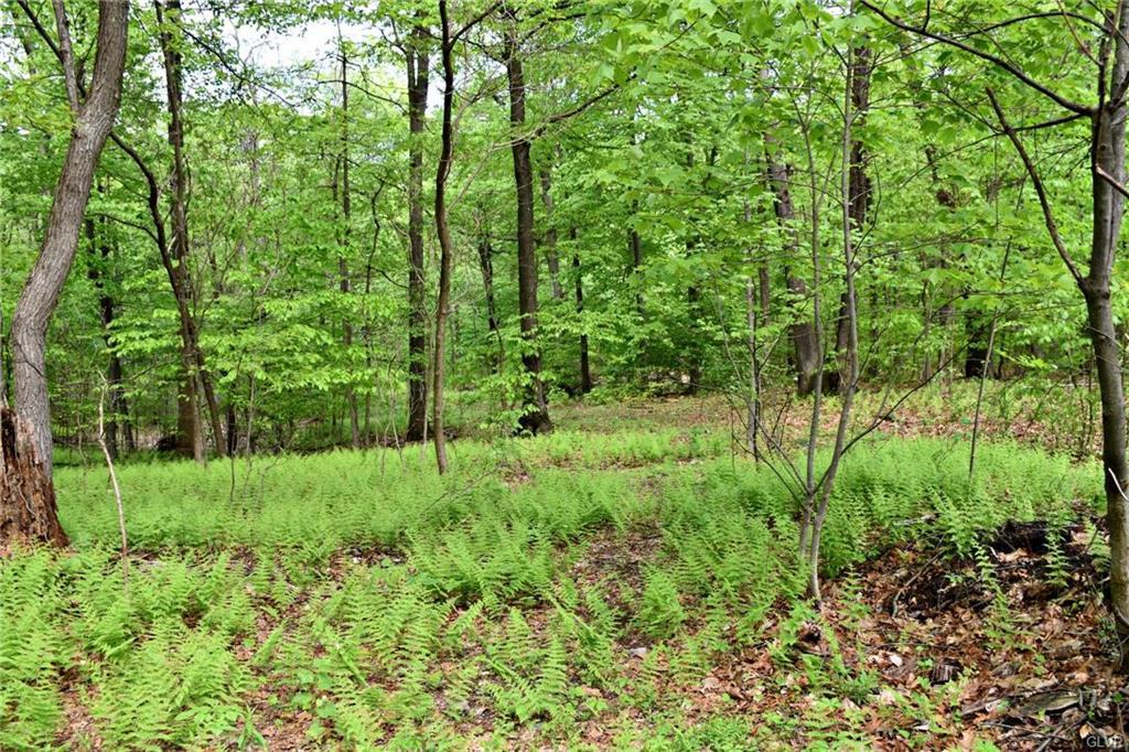 Lake Road - Photo 1