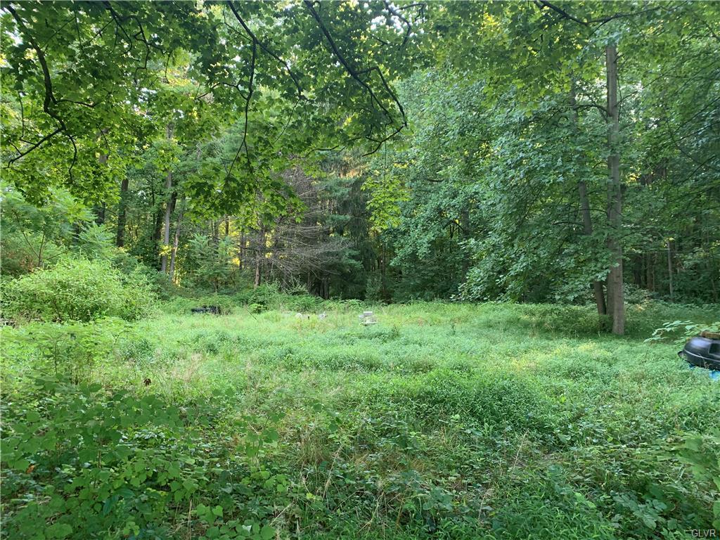 7891 Richlandtown Road - Photo 1