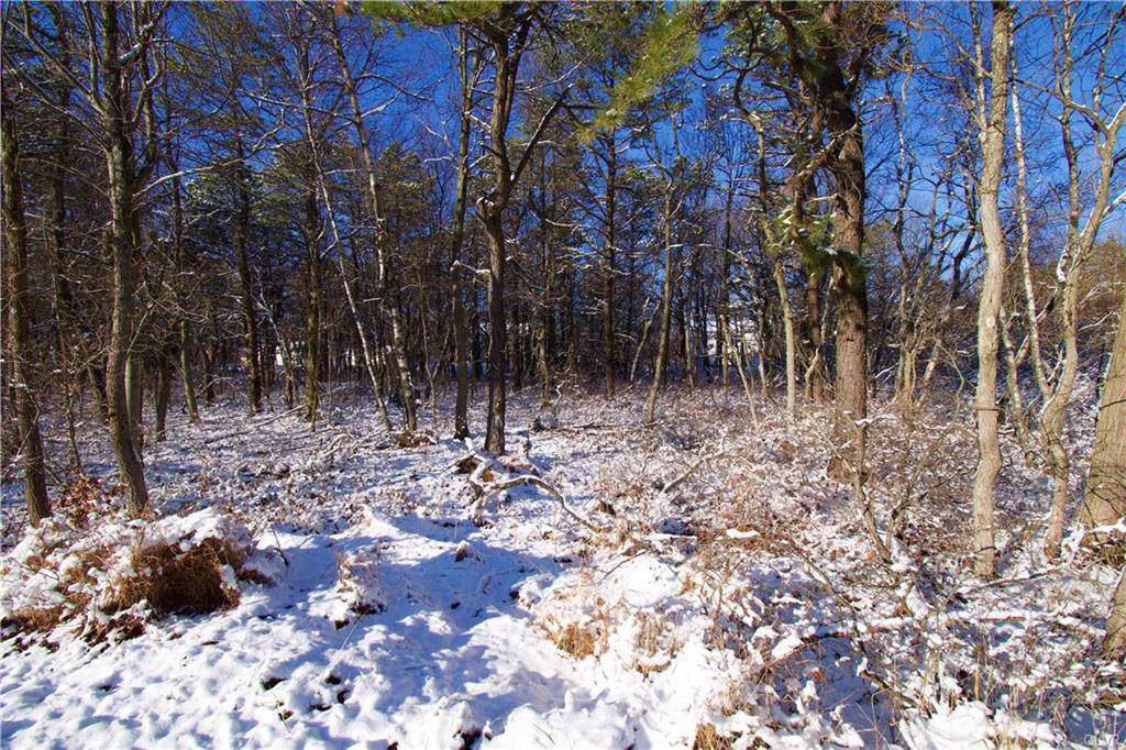 2163 Nosirrah Road - Photo 1