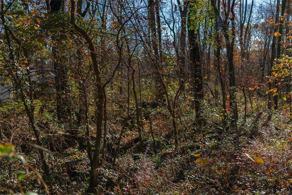 365 Raubsville Road - Photo 1