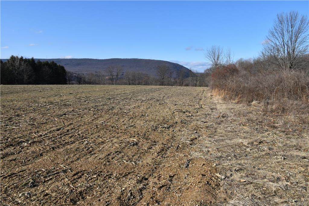 4864 Main Street - Photo 1