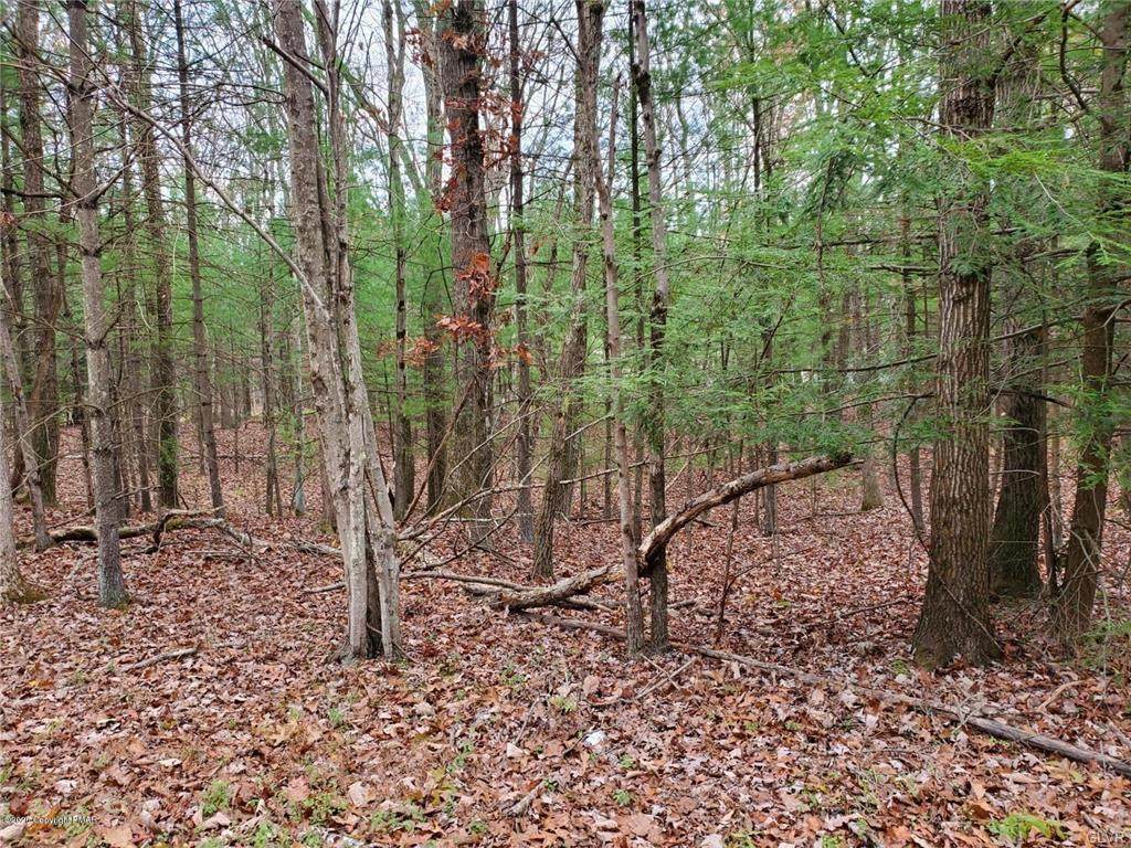 65 Majestic Drive - Photo 1