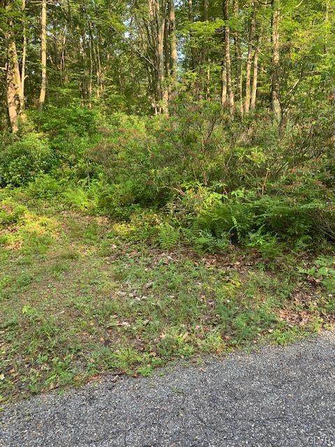 Rhododendron Road - Photo 1
