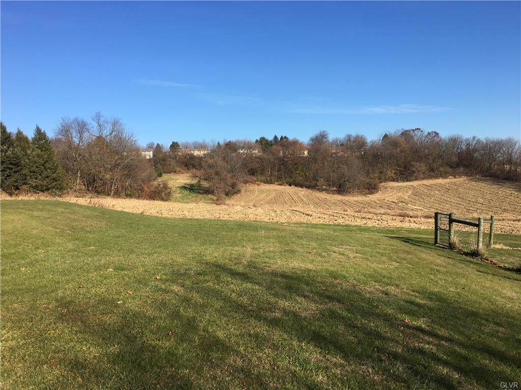 Mauch Chunk (Lot #4) Road - Photo 1